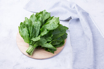 A bunch of fresh sorrel leaves on a light background with a napkin. Healthy greens for a healthy diet. Vitamins in natural products.