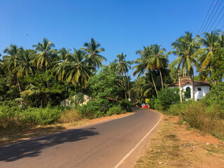 Obraz na płótnie Canvas North Goa, India - December 4, 2018 View of the tall green palm trees and the road against the blue sky.
