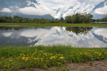 lake mountains flowers clouds reflection doronicum