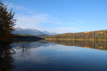 reflection of trees in lake, Jasper National Park, Alberta
