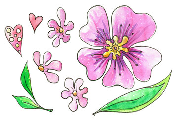 Fototapeta na wymiar Watercolor set with pink flowers.