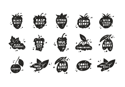 Garden berries, grunge stickers set. Strawberry, raspberry, blackberry, currant, cherry, barberry. Black texture silhouette with lettering inside. Imitation of stamp. Hand drawn print with scuffs