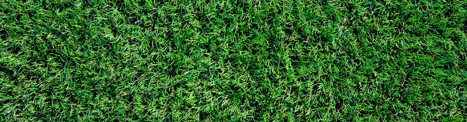 Green grass texture background, Artifical grass at stadium, Astroturf for playing sport game