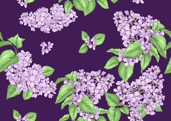Seamless background with lilac flowers. Vector illustration. Isolated on white background.
