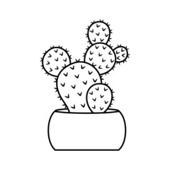 Cactus and succulent line style vector illustration