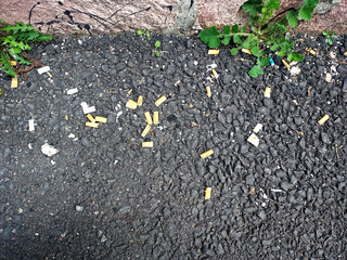 Garbage contamination of toxic cigarette butts thrown on the ground a problem and danger for the seas and nature
