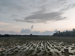 Fototapeta premium farm land