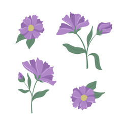 Fototapeta na wymiar Set of cute tenderness violet flowers. Vector elements isolated on white background. Botanical illustration for fabric design, greeting card, decoration, scrapbooking and much more.