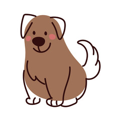 dog cute pet