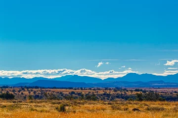 Zelfklevend Fotobehang Late afternoon landscape of veld and mountains © geoffsp