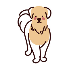 big dog cute pet