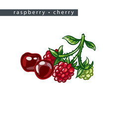 sketch_raspberry_cherry_four_berries_and_leaves