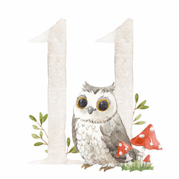 Beautiful Stock Illustration With Watercolor Hand Drawn Number 11 And Cute Owl Bird For Baby Clip Art. Eleven Month, Years.