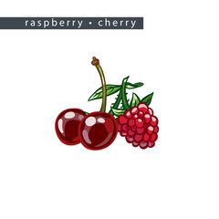 sketch_raspberry_cherry_three_whole_berries