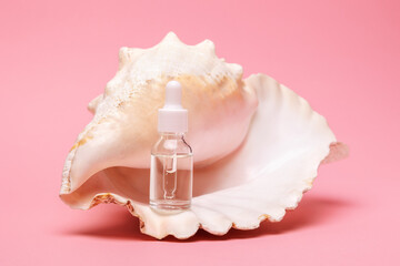 Close up of transparent cosmetic bottle on a pink background standing on strombus gigas sea shell. The concept of an advertising template for beauty products
