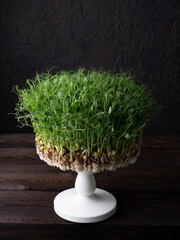 Micro-greens on a cake stand, the concept of replacing high-calorie nutrition with proper and healthy food enriched with fiber.