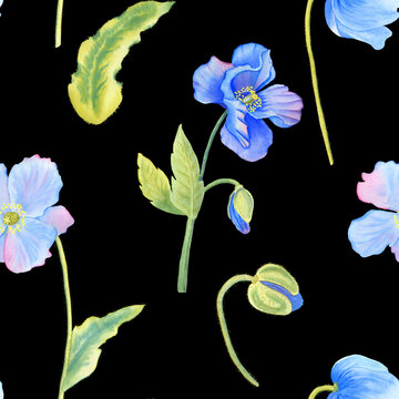 Blue poppies watercolor seamless pattern. Hand drawn illustration of Himalayan flowers and leaves on a black background. Floral ornament. For textile and wallpeper