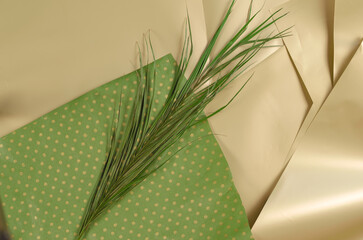 A green palm branch against a beige-green background. View from above. No people.
