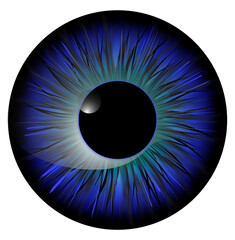 Blue Realistic Eyeball, Iris, Pupil, Lens, Retina