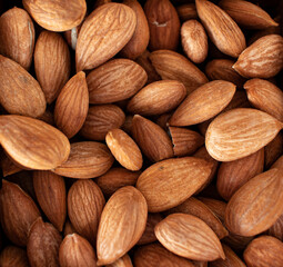 Apricot kernels, close-up. almond.
