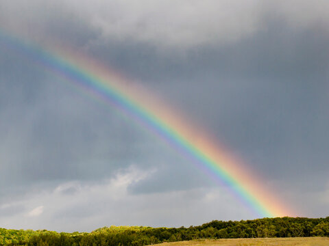 blurred, defocusing rainbow in the sky with clouds on the background of fields and forests. © Lyubov