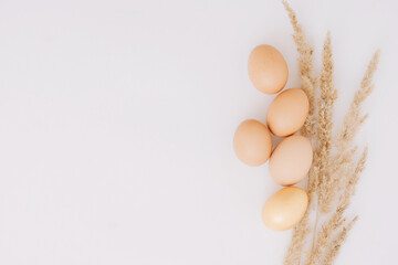 five chicken yellow eggs with spikelets on a white background top view, easter wallpaper in eco style
