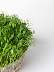 Micro-green of sprouted pea seeds on a light background. Proper nutrition microselen is a dietary supplement.