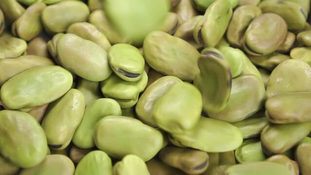 Broad (fava) beans close up. Falling dry legumes in slow motion. Macro. Rotation. Mediterranean cuisine