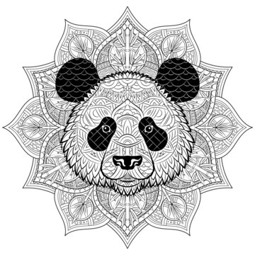 Panda face pattern on ornament background. Portrait of giant panda isolated on white background. Painted ethnic ornament. Chinese style. Tribal ornament painted by hand. Series ethnic animals. Vector