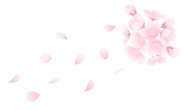 シンプルで美しい桜吹雪のベクターイラスト