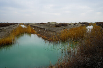 the lake in the mountains