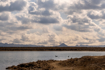 Seltjarnarnes Peninsula
