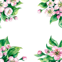Spring frame of apple blossom, watercolor illustration isolated on white background.