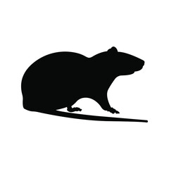 rat; mouse; cartoon; little; vector; animal; icon; 2020; cute; outline; small; pet; illustration; symbol; design; art; sign; tail; new; mice; line; happy; character; laboratory; pattern; black; abstra