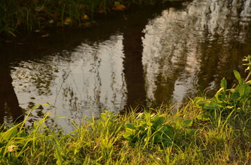 Photos taken at sunset while on a stroll through the beautiful Aqueducts Park in Rome, with the majestic ruins of ancient Roman aqueducts and trees