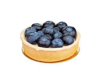 blueberry tart isolated on white background. Mini tart with cream and fresh blueberries isolated on white
