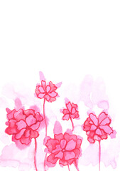 Art illustration nature background. Painted watercolor red flowers isolated on white backdrop
