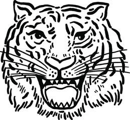 Tiger head Animal wildlife Hand drawn line art Illustration