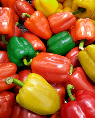 Diverse variety of capsicums  pepper with red yellow and green color background