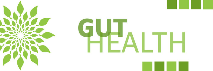 Gut Health Green Leaves Circular Horizontal 