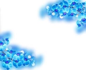 purple orchid branch © neirfy