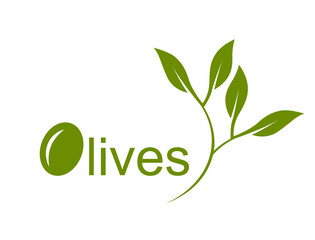olives and olive leaves abstract olive branch design vector illustration 
