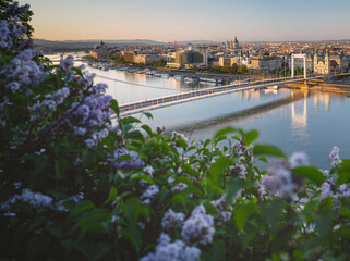 Obraz premium View on Budapest with Elisabeth Bridge in spring
