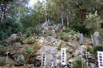 Naklejka premium 里山 イメージ