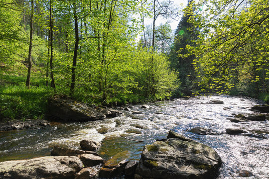 Rur river flowing through rocks on sunny day at Eifel National Park, Monschau, Germany
