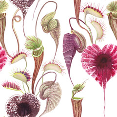 Exotic flowers seamless pattern Carnivorous plants tropical print Watercolor flowers botanical illustration Pelican flower Venus Flytrap isolated on white © Lia