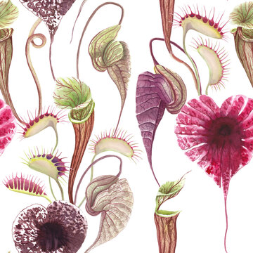 Exotic flowers seamless pattern Carnivorous plants tropical print Watercolor flowers botanical illustration Pelican flower Venus Flytrap isolated on white