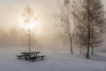 bench in the snow