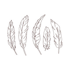 Bird feather from wing silhouette colouring page vector illustration set isolated on white. Line art style birds plume shape print collection for Halloween or tee shirt design.