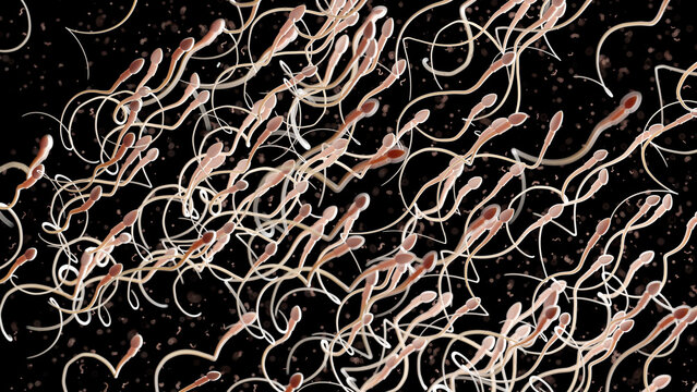 3d rendered illustration of human sperm